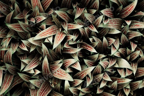 Preview: Leaves nature background, summer organic texture