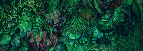 Preview: Group of background tropical green leaves texture. Natural green wallpaper and background.