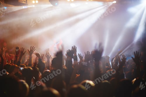 Preview: Crowd at concert