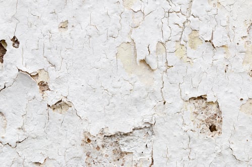 Preview: Light Gray Stucco Wall Texture. Abstract Background