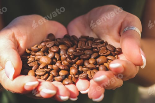 Preview: Coffee beans
