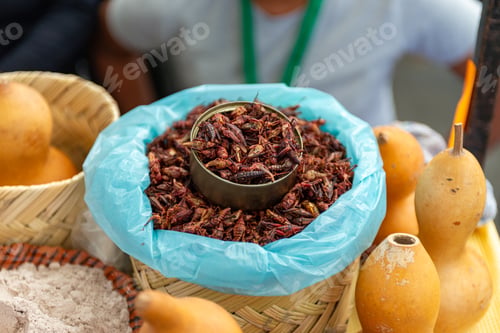 Preview: Close-Up Detailed Shot of Roasted Grasshoppers in a Basket at Market Stall
