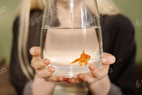 Preview: Unrecognizable Girl Holding Aquarium With Goldfish