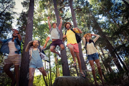 Preview: Group of friends having fun in forest
