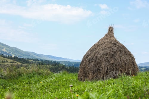 Preview: Pile of hay on field in mountains, space for text