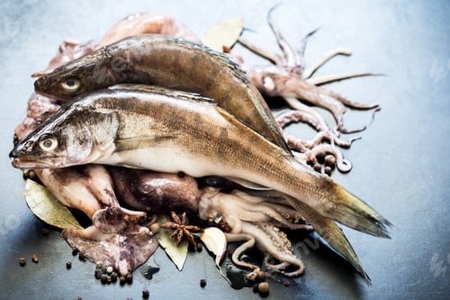 Preview: squid and fish on black background