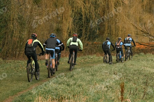 Preview: Group of cyclists travel by bike in a forest