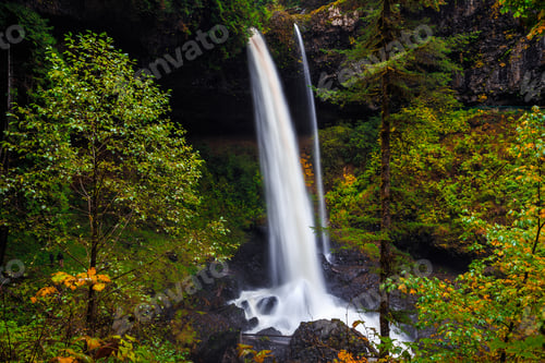Preview: North Falls Forest, Silver Falls State Park, Oregon