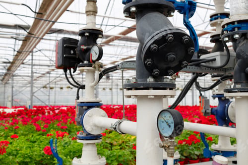 Preview: Pipelines and pumps for heating and irrigation in a modern greenhouse