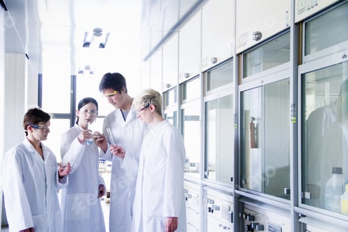 Preview: Chemistry students looking at chemicals in laboratory