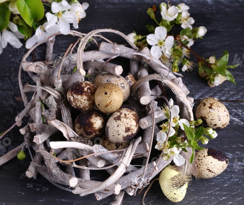 Preview: Easter still life with flowers and eggs