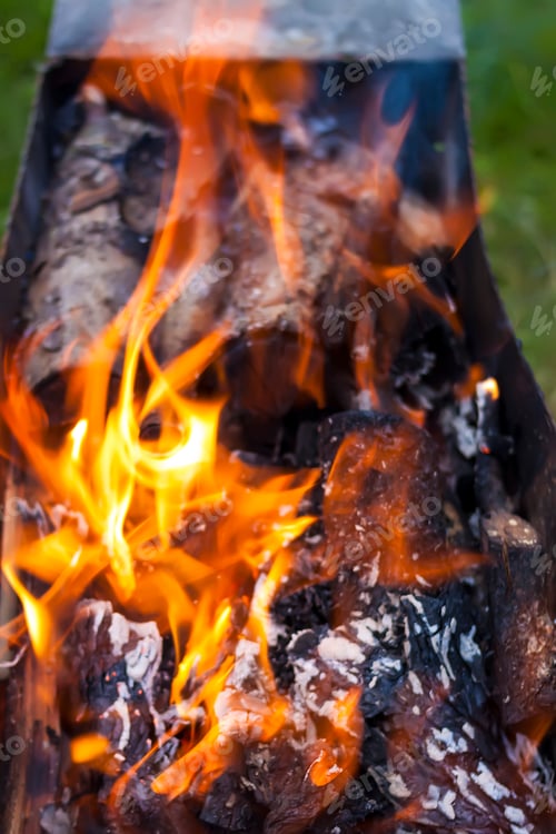 Preview: Flame of fire burning in the brazier