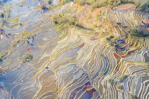 Preview: beautiful terraced fields texture