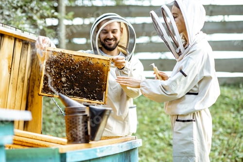 Preview: Beekeepers working on the apiary