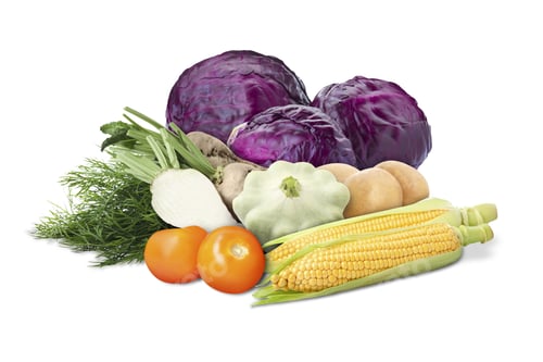 Preview: Many different fresh vegetables and dill on white background