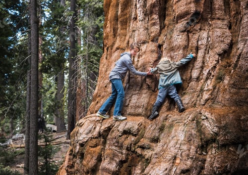 Preview: Two children climbing around tree, Sequoia National Park, California, USA