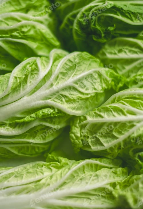 Preview: Chinese cabbage, background texture of green leaves, close up.