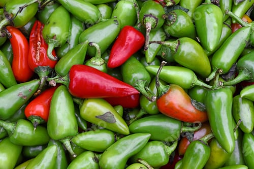 Preview: Green hot jalapeno chili peppers