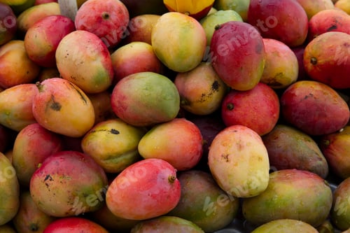 Preview: Closeup shot of mangos