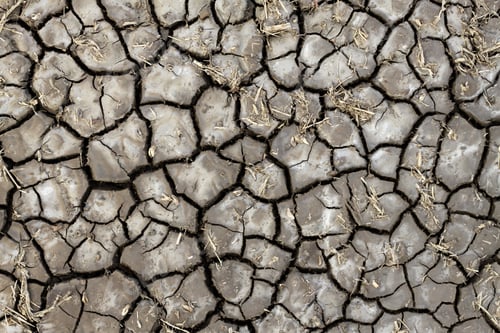 Preview: Dry soil texture