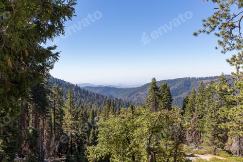 Preview: Beautiful shot of the Sequoia National Park in the United States of America