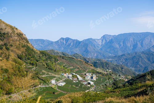 Preview: Lots of tea field over the mountain in Alishan of Shizhuo in Taiwan