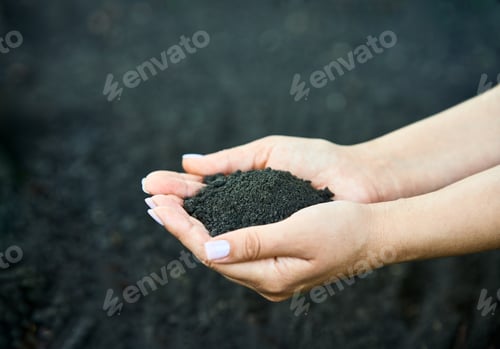 Preview: Woman hands holding soil