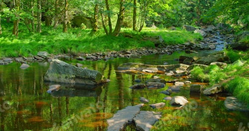 Preview: Mountain river in wild nature landscape. Green lush woodland in the morning. Mesmerizing flow of