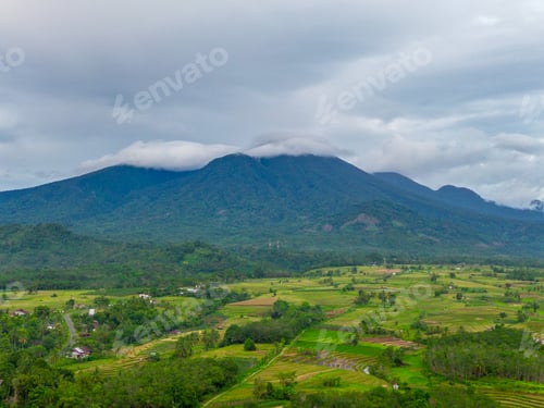 Preview: Beautiful morning view indonesia Panorama Landscape paddy fields