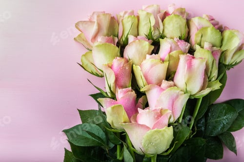 Preview: Beautiful bunch of two colored roses