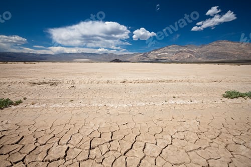 Preview: USA, California, Death Valley, Cracked soil