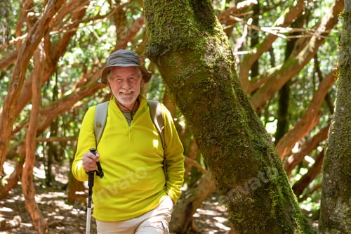 Preview: Happy attractive senior man with backpack and walking stick in the forest enjoying healthy lifestyle