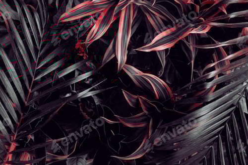 Preview: Photo of dark tropical leaves painted in dark red color. Creative natural leaf background for design