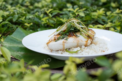 Preview: Steamed fish fillet, over white rice, with chives topping and honey and soy sauce. Seafood. White fi