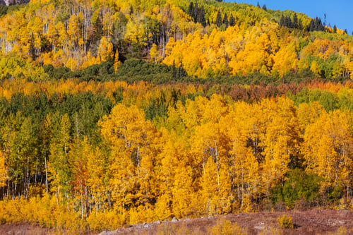 Vorschau: Herbst in Colorado