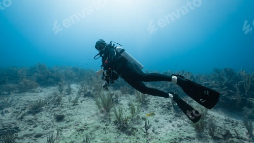 Preview: female diver sad because all the coral is dead