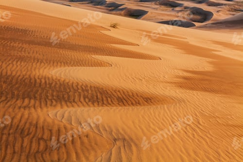 Preview: Amazing abstract patterns on the sand of the Gobi desert. Mongolia.