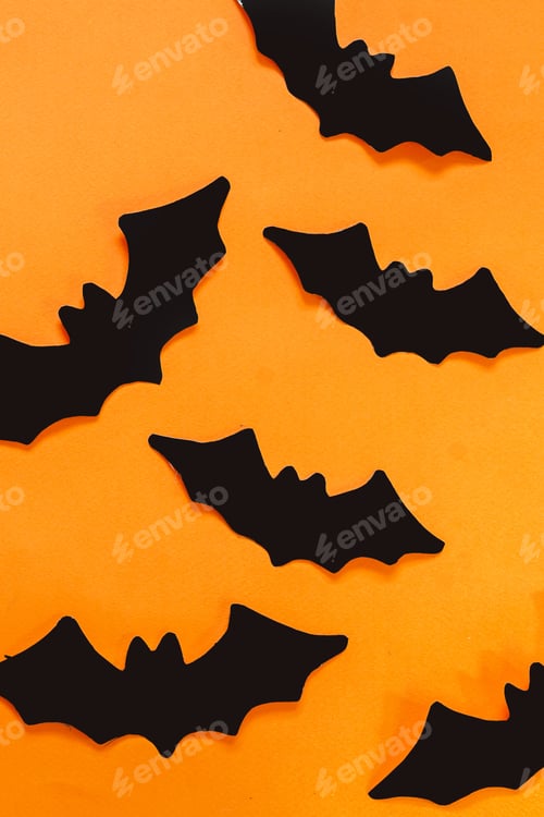 Preview: Happy halloween holiday. Halloween decorations, black and white pumpkins, bats, ghosts on a black
