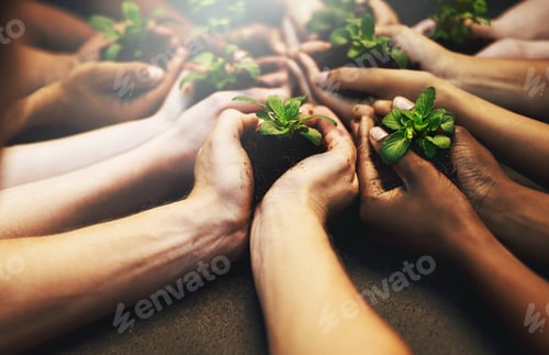 Preview: Cropped shot of a group of people holding plants growing out of soil