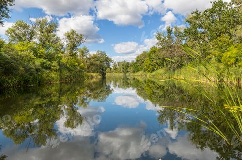 Preview: Summer river