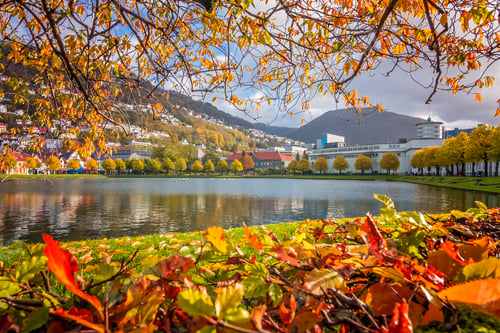 Preview: Small Lille Lungegardsvannet lake in Bergen