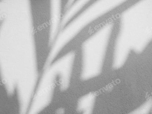Preview: Plant Leaves Shadow Overlay on Grey Cement Background