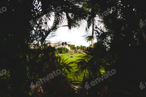 Preview: Golf Course Through Palm Tree Leaves