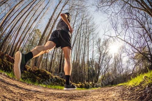 Preview: Male runner on nature