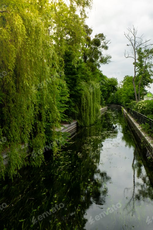Aperçu: Beautiful spring river and forest. Nature Reflection of trees in the water. Abstract natural