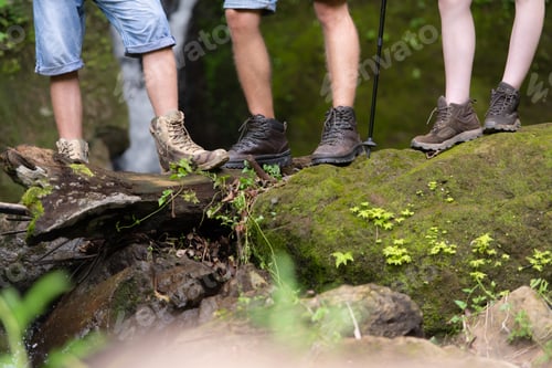 Preview: Hiking shoes on a log or rocks in the forest.