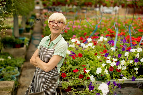 Preview: Senior woman working in flower garden