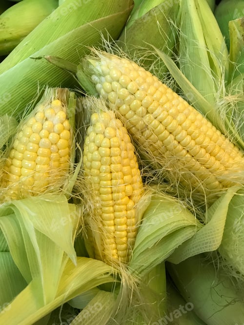 Preview: Sweet corns