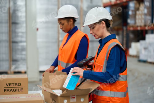 Preview: Female workers scanning products in warehouse for logistics