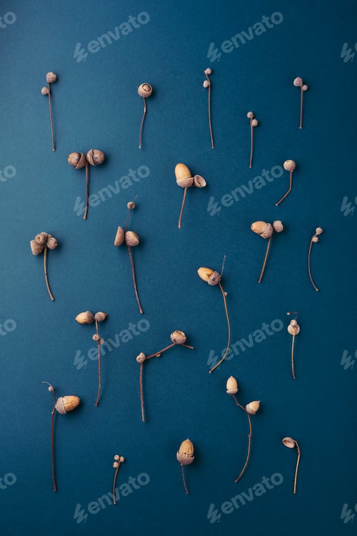 Preview: Autumn Pattern Made of Acorns.